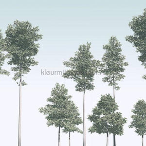 Komar RAW R4-040 | Bestellen bij https://www.kleurmijninterieur.nl/