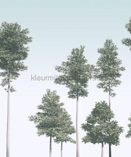 Komar RAW R4-040 | Bestellen bij https://www.kleurmijninterieur.nl/