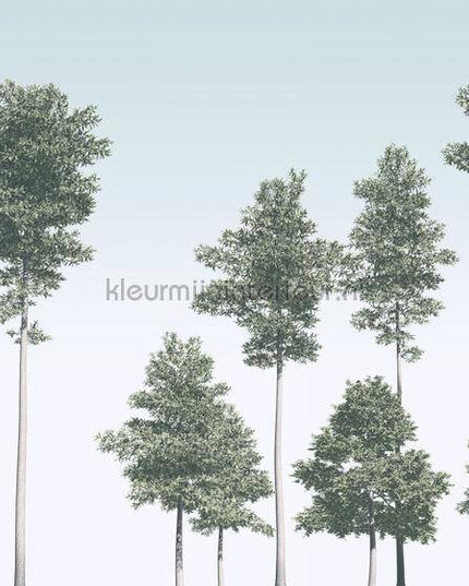 Komar RAW R4-040 | Bestellen bij https://www.kleurmijninterieur.nl/