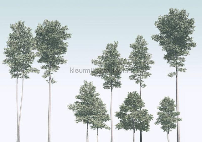 Komar RAW R4-040 | Bestellen bij https://www.kleurmijninterieur.nl/