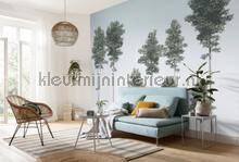 Komar RAW R4-040 | Bestellen bij https://www.kleurmijninterieur.nl/