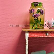 Eijffinger Pip Wallpaper IV 375033 | Bestellen bij https://www.kleurmijninterieur.nl/
