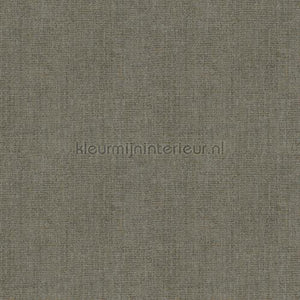 Hookedonwalls Amur 15100 | Bestellen bij https://www.kleurmijninterieur.nl/