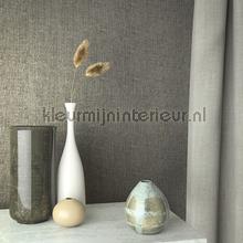 Hookedonwalls Amur 15100 | Bestellen bij https://www.kleurmijninterieur.nl/