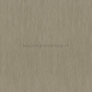 Hookedonwalls Amur 15120 | Bestellen bij https://www.kleurmijninterieur.nl/