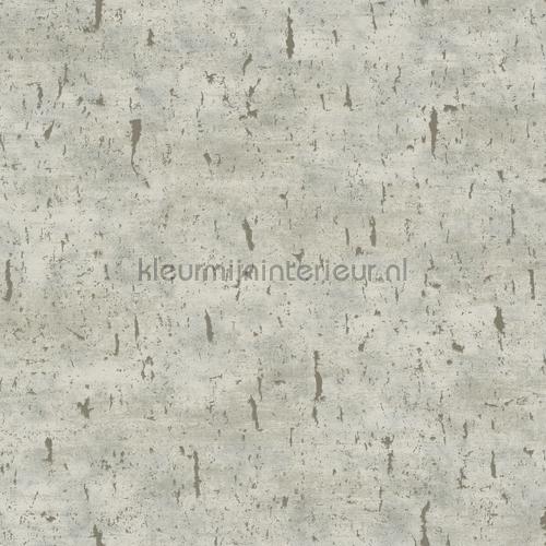 Hookedonwalls Amur 15129 | Bestellen bij https://www.kleurmijninterieur.nl/