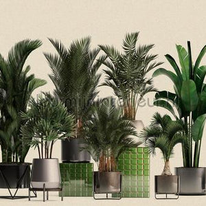 AS Creation Walls by Patel 3 DD122084 | Bestellen bij https://www.kleurmijninterieur.nl/