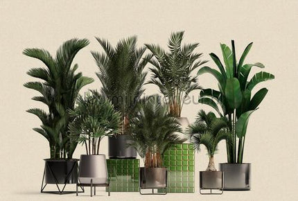 AS Creation Walls by Patel 3 DD122084 | Bestellen bij https://www.kleurmijninterieur.nl/