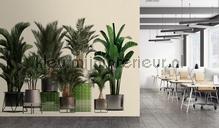 AS Creation Walls by Patel 3 DD122084 | Bestellen bij https://www.kleurmijninterieur.nl/