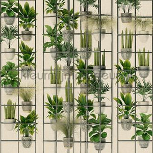 AS Creation Walls by Patel 3 DD122088 | Bestellen bij https://www.kleurmijninterieur.nl/