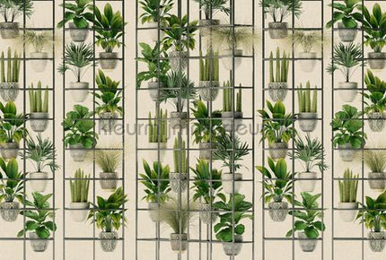AS Creation Walls by Patel 3 DD122088 | Bestellen bij https://www.kleurmijninterieur.nl/