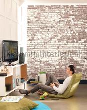 Caselio Young and Free YNF103431903 | Bestellen bij https://www.kleurmijninterieur.nl/