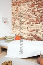Caselio Young and Free YNF103438203 | Bestellen bij https://www.kleurmijninterieur.nl/