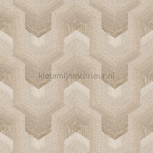 Dutch Wallcoverings Exclusive Threads TP422912 | Bestellen bij https://www.kleurmijninterieur.nl/