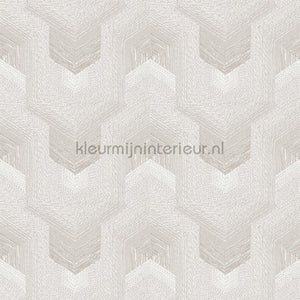 Dutch Wallcoverings Exclusive Threads TP422911 | Bestellen bij https://www.kleurmijninterieur.nl/