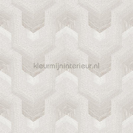Dutch Wallcoverings Exclusive Threads TP422911 | Bestellen bij https://www.kleurmijninterieur.nl/