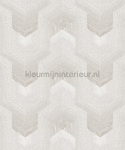 Dutch Wallcoverings Exclusive Threads TP422911 | Bestellen bij https://www.kleurmijninterieur.nl/