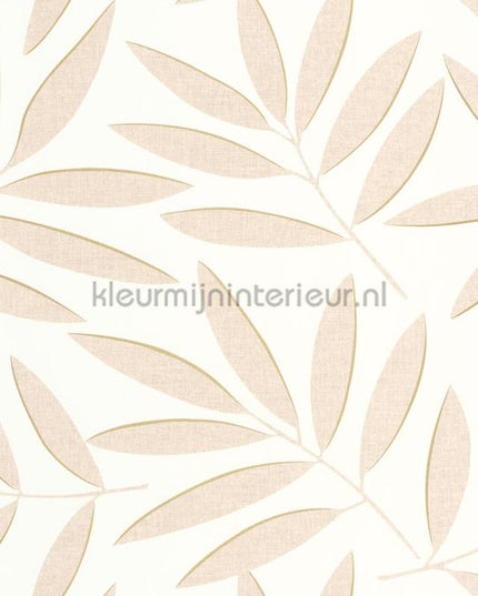 Caselio XXL XXL104581022 | Bestellen bij https://www.kleurmijninterieur.nl/
