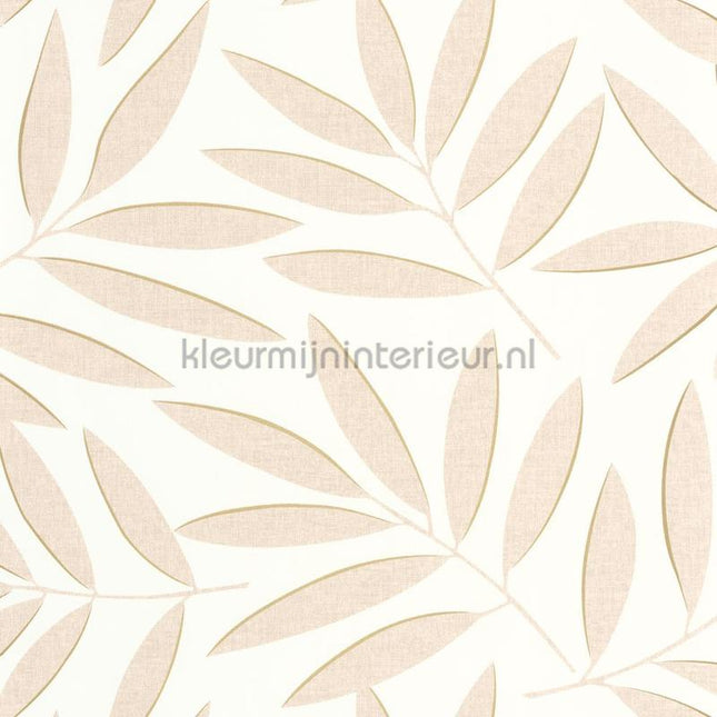 Caselio XXL XXL104581022 | Bestellen bij https://www.kleurmijninterieur.nl/