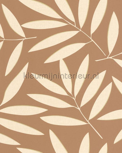 Caselio XXL XXL104582024 | Bestellen bij https://www.kleurmijninterieur.nl/