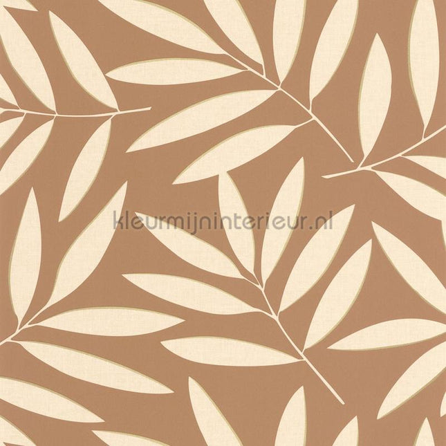 Caselio XXL XXL104582024 | Bestellen bij https://www.kleurmijninterieur.nl/