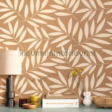 Caselio XXL XXL104582024 | Bestellen bij https://www.kleurmijninterieur.nl/