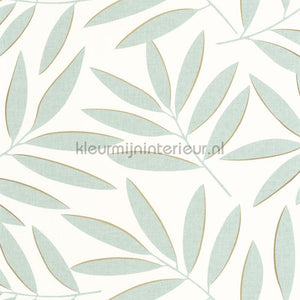 Caselio XXL XXL104587020 | Bestellen bij https://www.kleurmijninterieur.nl/
