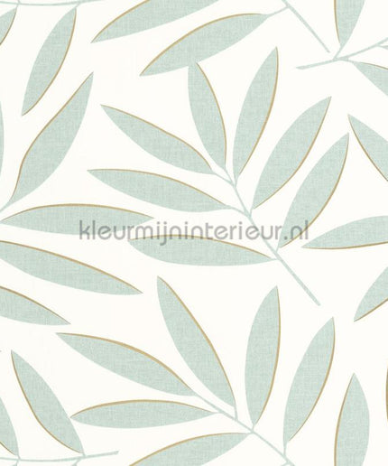 Caselio XXL XXL104587020 | Bestellen bij https://www.kleurmijninterieur.nl/