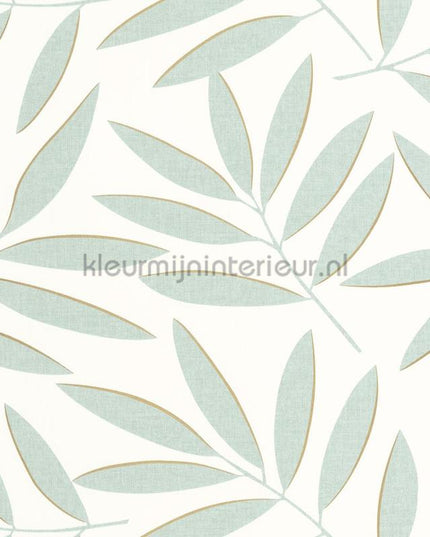 Caselio XXL XXL104587020 | Bestellen bij https://www.kleurmijninterieur.nl/