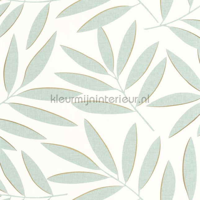 Caselio XXL XXL104587020 | Bestellen bij https://www.kleurmijninterieur.nl/
