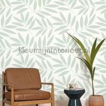 Caselio XXL XXL104587020 | Bestellen bij https://www.kleurmijninterieur.nl/