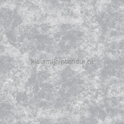 Noordwand Concrete Cire 330808 | Bestellen bij https://www.kleurmijninterieur.nl/