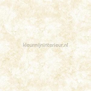 Noordwand Concrete Cire 330822 | Bestellen bij https://www.kleurmijninterieur.nl/
