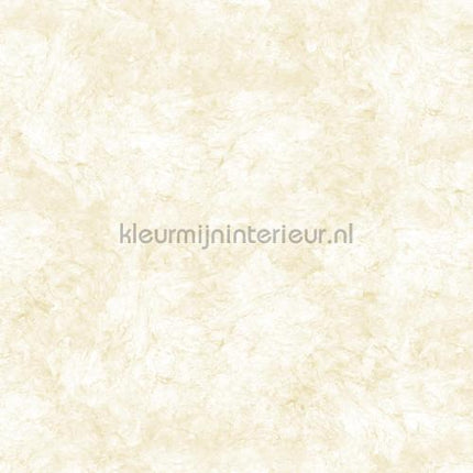Noordwand Concrete Cire 330822 | Bestellen bij https://www.kleurmijninterieur.nl/