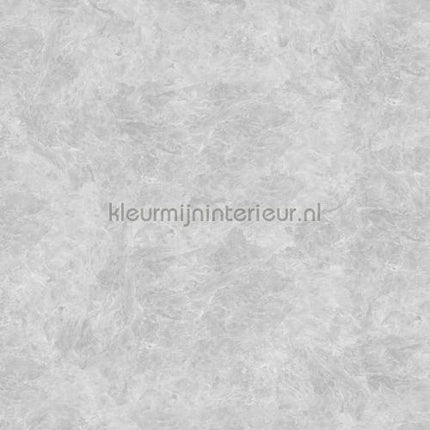 Noordwand Concrete Cire 330846 | Bestellen bij https://www.kleurmijninterieur.nl/