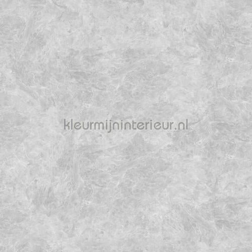 Noordwand Concrete Cire 330846 | Bestellen bij https://www.kleurmijninterieur.nl/