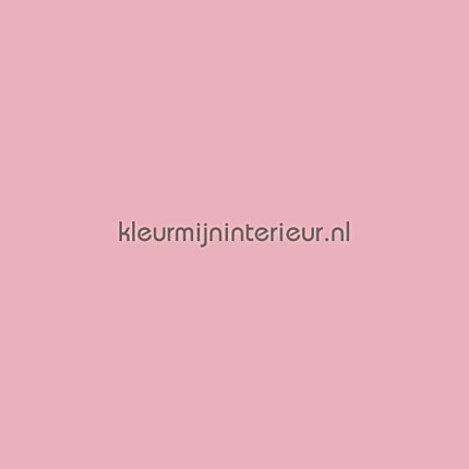 Prestigious Textiles  6456 PANAMA Pink 200 | Bestellen bij https://www.kleurmijninterieur.nl/