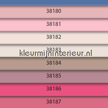 Prestigious Textiles  6456 PANAMA Violet 803 | Bestellen bij https://www.kleurmijninterieur.nl/
