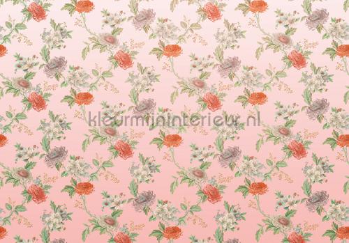 Komar Heritage Edition 1 hx8-057 | Bestellen bij https://www.kleurmijninterieur.nl/