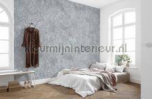 Komar RAW R4-042 | Bestellen bij https://www.kleurmijninterieur.nl/