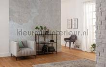 Komar RAW R3-032 | Bestellen bij https://www.kleurmijninterieur.nl/