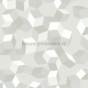 Cole and Son Geometric II 105-2008 | Bestellen bij https://www.kleurmijninterieur.nl/