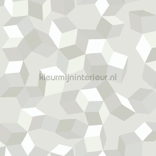 Cole and Son Geometric II 105-2008 | Bestellen bij https://www.kleurmijninterieur.nl/