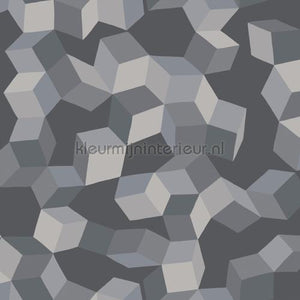 Cole and Son Geometric II 105-2011 | Bestellen bij https://www.kleurmijninterieur.nl/