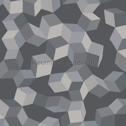 Cole and Son Geometric II 105-2011 | Bestellen bij https://www.kleurmijninterieur.nl/