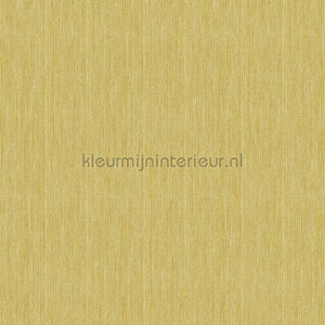 Hookedonwalls Alegria 23811 | Bestellen bij https://www.kleurmijninterieur.nl/