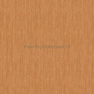 Hookedonwalls Alegria 23815 | Bestellen bij https://www.kleurmijninterieur.nl/