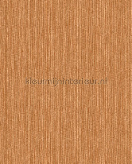 Hookedonwalls Alegria 23815 | Bestellen bij https://www.kleurmijninterieur.nl/