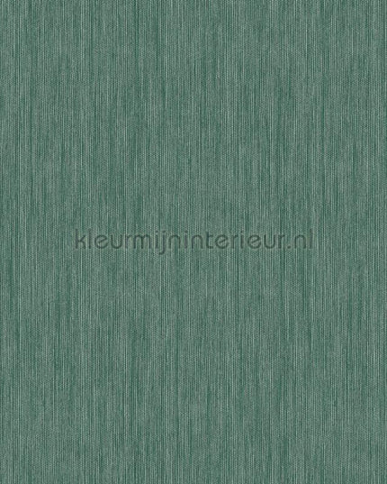 Hookedonwalls Alegria 23817 | Bestellen bij https://www.kleurmijninterieur.nl/