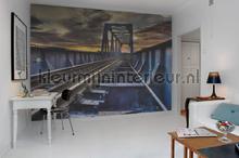Rebel Walls Curious r12211 | Bestellen bij https://www.kleurmijninterieur.nl/